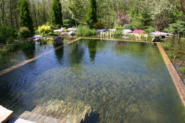 Kolam Renang dengan Background Pepohonan